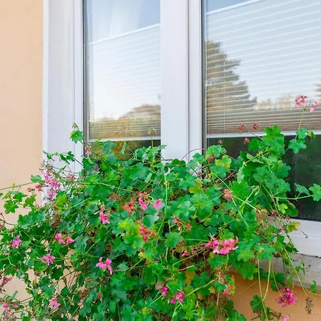 Awesome In With Kitchen Apartment Rostock